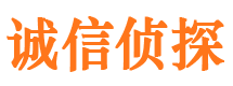 岭东侦探公司